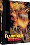 Flammendes Inferno (Blu-ray & DVD im Mediabook), Blu-ray Disc