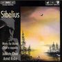 Jean Sibelius (1865-1957): Chorwerke a capella, CD