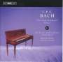 Carl Philipp Emanuel Bach (1714-1788): Für Kenner und Liebhaber (Sammlung 4), CD