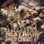 "Next Akin to Chaos" steht auf einem chaotischen Hintergrund aus kämpfenden Tieren, darunter ein Tiger und andere Kreaturen., CD