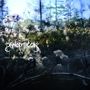 Panopticon: ...And Again into the Light, CD