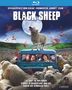 Jonathan King: Black Sheep - Uncut (2006) (Blu-ray), BR