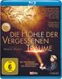 Werner Herzog: Die Höhle der vergessenen Träume (Blu-ray), BR