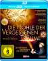 Werner Herzog: Die Höhle der vergessenen Träume (3D Blu-ray), BR