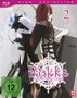 Takeo Takahashi: Rokka: Braves of the Six Flowers Vol. 2 (Blu-ray), BR