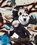 Jujutsu Kaisen Staffel 1 Vol. 3, DVD