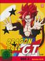 Dragonball GT Box 3 (Episode 42-64), 4 DVDs