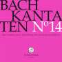 Johann Sebastian Bach: Bach-Kantaten-Edition der Bach-Stiftung St.Gallen - CD 14, CD