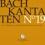 Johann Sebastian Bach: Bach-Kantaten-Edition der Bach-Stiftung St.Gallen - CD 19, CD