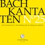 Johann Sebastian Bach: Bach-Kantaten-Edition der Bach-Stiftung St.Gallen - CD 25, CD