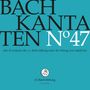 Johann Sebastian Bach (1685-1750): Bach-Kantaten-Edition der Bach-Stiftung St.Gallen - CD 47, CD