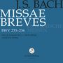 Johann Sebastian Bach: Messen BWV 233-236 (Lutherische Messen), 2 CDs