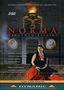 Vincenzo Bellini: Norma, DVD,DVD