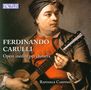 Ferdinando Carulli (1770-1841): Gitarrenwerke, CD