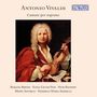 Oben steht "Antonio Vivaldi", darunter "Cantate per soprano". Es ist ein klassisches Gemälde einer Person mit Geige., 4 CDs