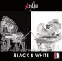 : Giulio Cintoni - Black and White, CD