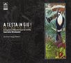 Gabriele Mirabassi: A Testa In Giu (CD + DVD), CD