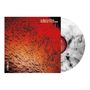 Text: "A BEAUTIFUL WORLD TO LOSE" und "CORELLA". Kunstwerk: Rote und schwarze Muster, Vinyl mit marmoriertem Design., LP