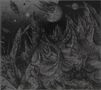Devoid Of Thought: Outer World Graves (Limited Edition), CD, CD