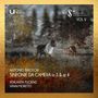 ARCHIVIO DELLA SINFONIA MILANESE VOL V. Zwei Hirsche in einem herbstlichen Wald.