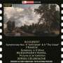 Franz Schubert (1797-1828): Symphonien Nr.8 & 9, 2 CDs