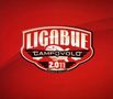Ligabue (Luciano Ligabue): Campovolo 2011, CD,CD,CD