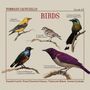 Tommaso Iacoviello: Birds, CD, CD