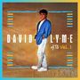 Text: "DAVID LYME HITS VOL. 1". Ein Mann in blauem Blazer und heller Hose steht vor einem beigefarbenen Hintergrund., Single 12"