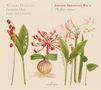 Johann Sebastian Bach: Flötensonaten BWV 1020,1021,1030-1035, CD,CD