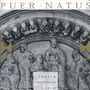Capella Greogriana Easo: Puer Natus, CD