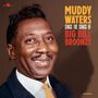 Muddy Waters: Sings the Songs of Big Bill Broonzy (180g) (5 Bonus Tracks), LP