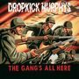 Dropkick Murphys: The Gang's All Here (Limited-Edition) (Colored Vinyl), LP