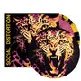 Text: "SOCIAL DISTORTION". Illustration eines fauchenden Leopardenkopfes in Gelb und Pink auf schwarzem Hintergrund., 2 LPs
