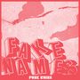 Der Text „FAKE NAMES“ groß, „PUNK RUINS“ klein. Illustration mit gepunkteten Mustern in Rot und Weiß., CD