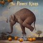 The Flower Kings: Waiting For Miracles, 2 LPs