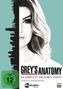 Grey's Anatomy Staffel 13, 6 DVDs