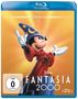 Fantasia 2000 (Blu-ray), Blu-ray Disc