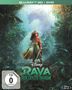Don Hall: Raya und der letzte Drache (Deluxe Edition) (Blu-ray & DVD), BR,DVD