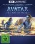 Avatar: The Way of Water (Ultra HD Blu-ray & Blu-ray), Ultra HD Blu-ray