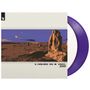 Ein Plattencover mit der Aufschrift "3 DRIVES ON A VINYL 2000", zeigt eine stylisierte Wüstenlandschaft., 2 LPs