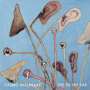 Cosmo Sheldrake: Eye To The Ear, LP,LP