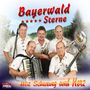 Bayerwald Sterne: Mit Schwung und Herz, CD, CD