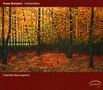 Franz Schubert: Moments Musicaux D.780, CD