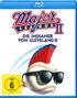 David S. Ward: Die Indianer von Cleveland 2 (Blu-ray), BR