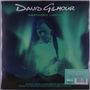 „David Gilmour Northern Lights“: Ein Musiker spielt Gitarre vor einem Hintergrund mit Nordlichtern. Vintage-Look., 2 LPs
