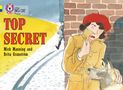 Brita Granstrom: Top Secret, Buch