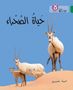 Anita Ganeri: The Life of the Desert, Buch