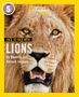 Beverly Joubert: Face to Face with Lions, Buch
