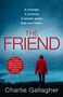 Charlie Gallagher: The Friend, Buch