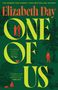 Elizabeth Day: Untitled Fiction One, Buch